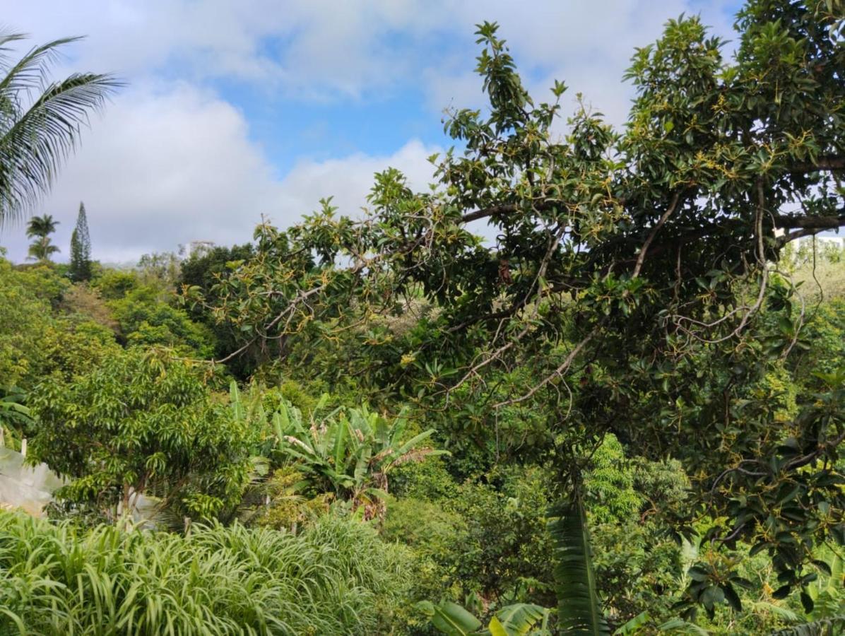 Apartamento Cercado Por Natureza E Diversao Maceió Exteriér fotografie